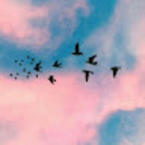 Meet your Posher, Patrícia